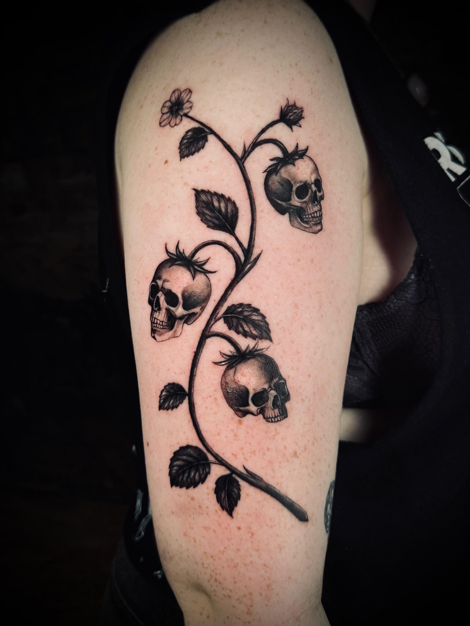 3eb5d94b-442d-4dde-8856-3a46edf27fe5