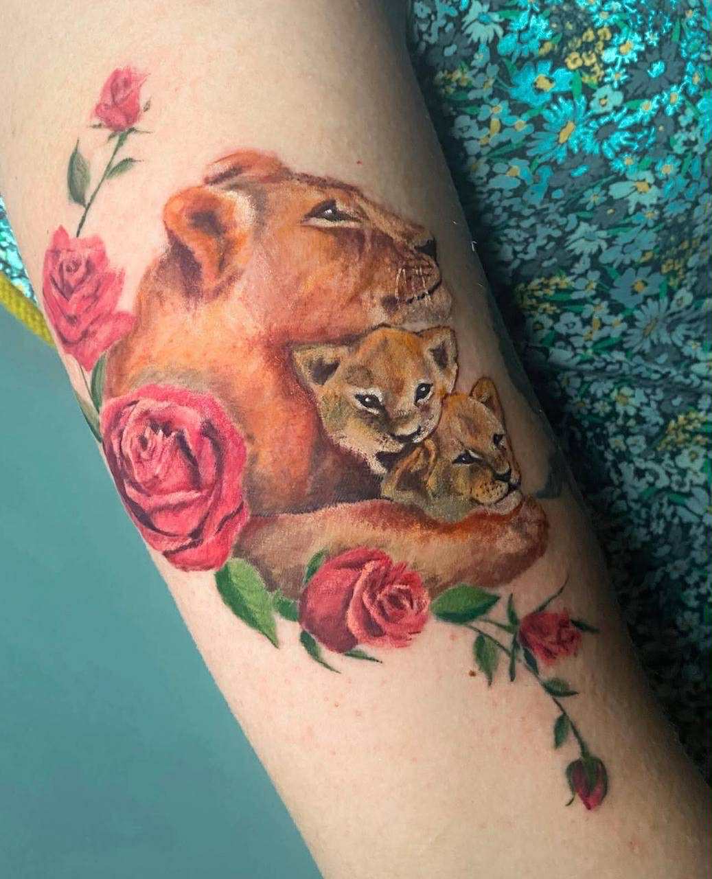 46fc29a4-eb99-40b5-88a6-ecf44723c61a