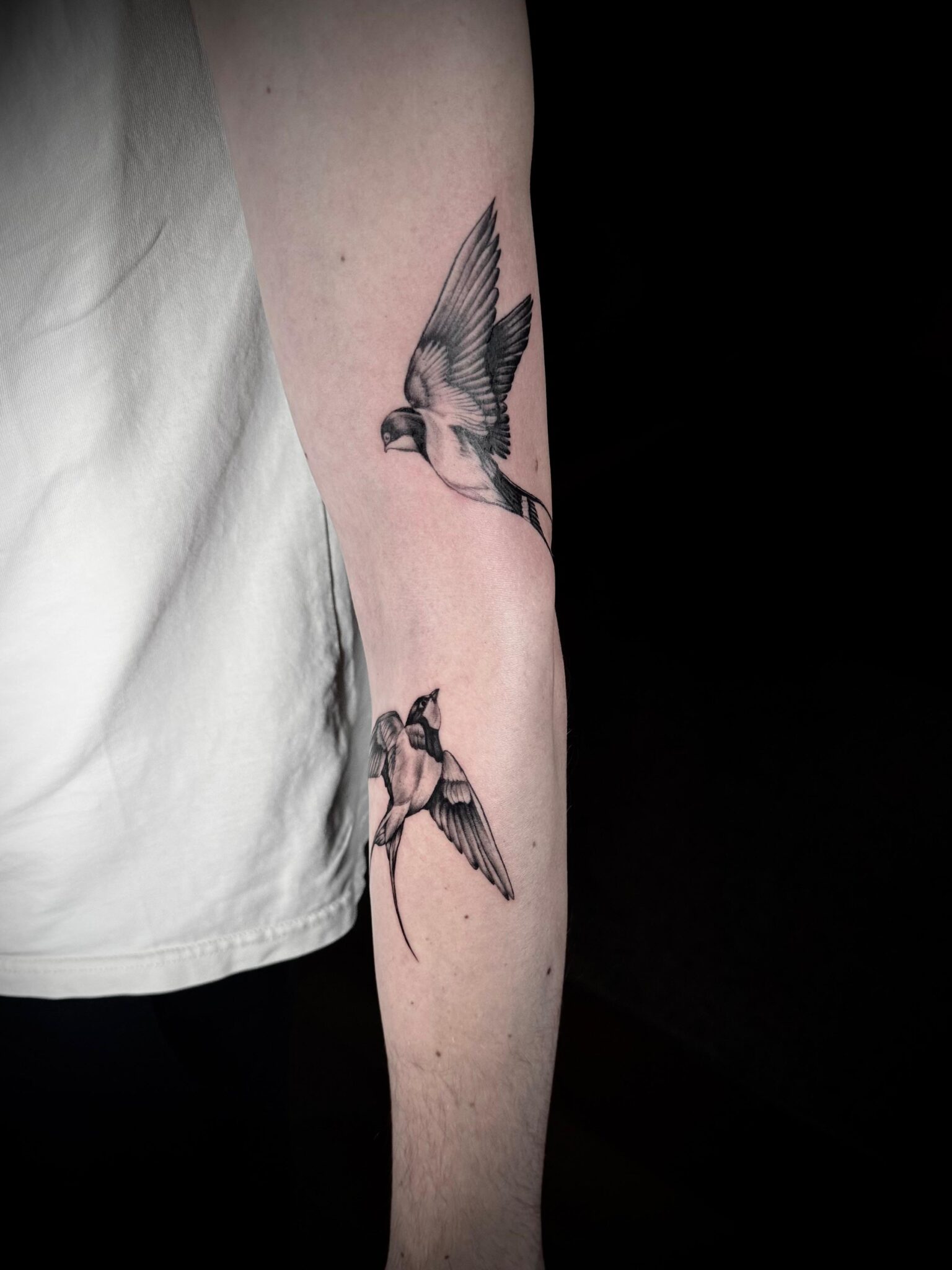 896c1099-31ce-43b9-bda1-b8c8471f0e3a