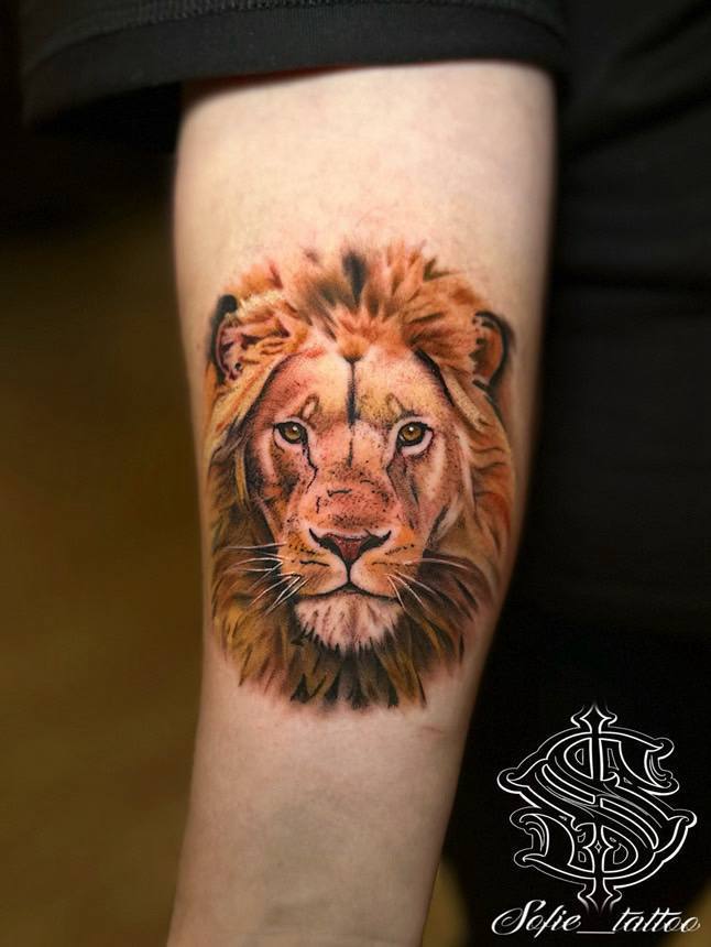 IMAGE 2026-01-06 14:43:19