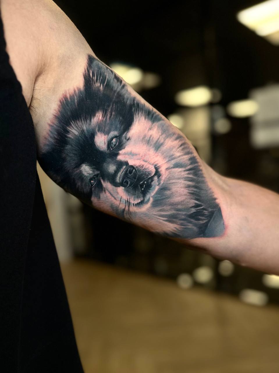 IMAGE 2026-01-06 14:43:39