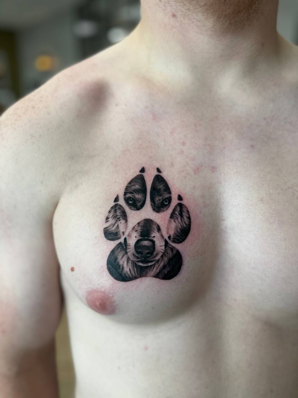 IMAGE 2026-01-06 14:44:16