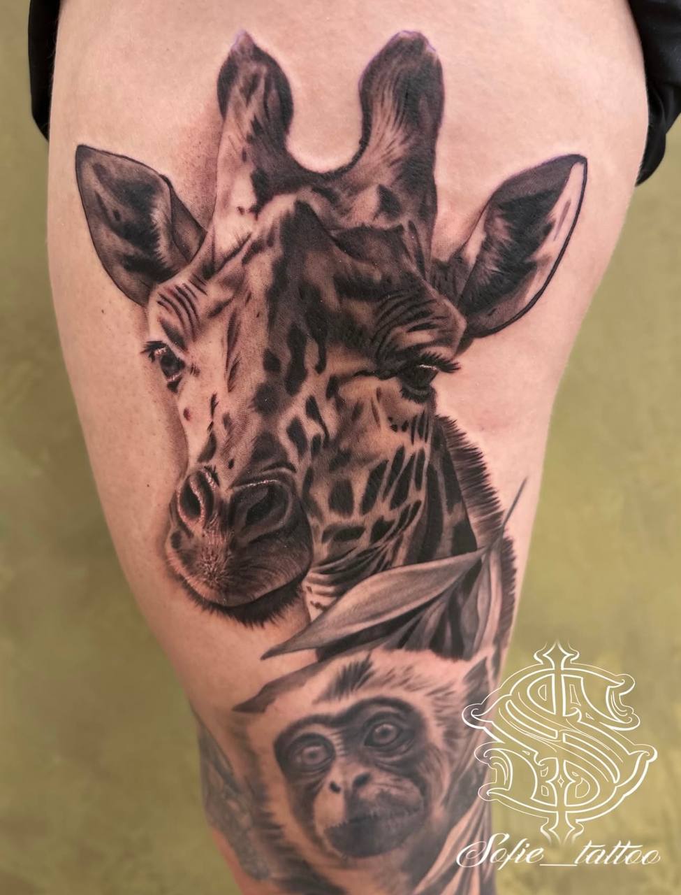 IMAGE 2026-01-06 14:44:26